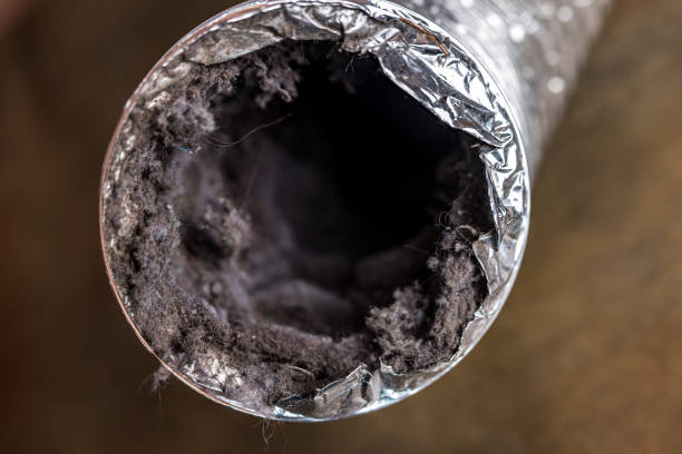 Best Dryer Vent Cleaning Services  in Keokuk, IA